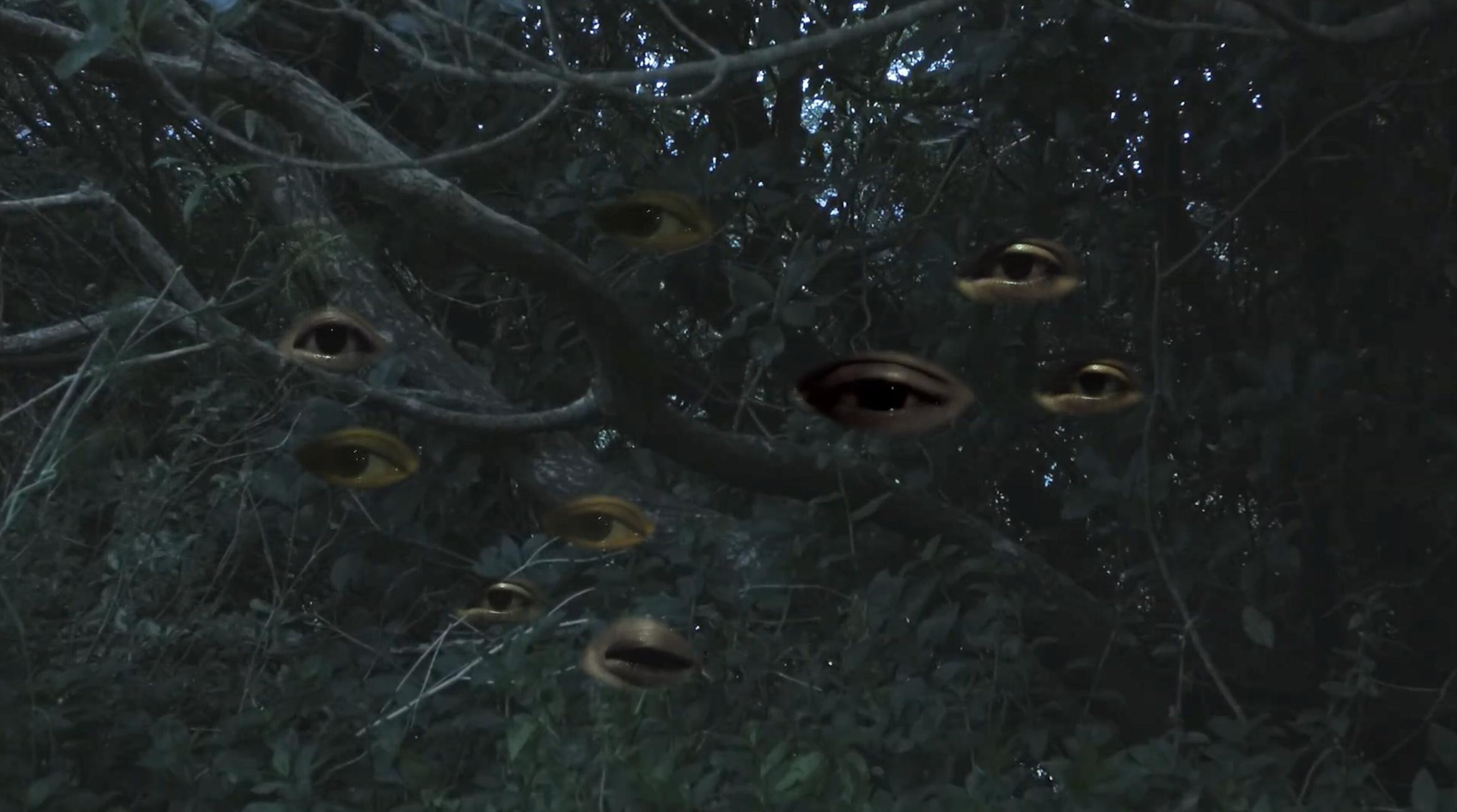 A series of 9 eyes are laid over a series of tree branches. This references the whakapapa of Matariki, especially the story of Ngā Mata o te Ariki Tāwhirimātea who tore out his eyes and cast them into the sky.