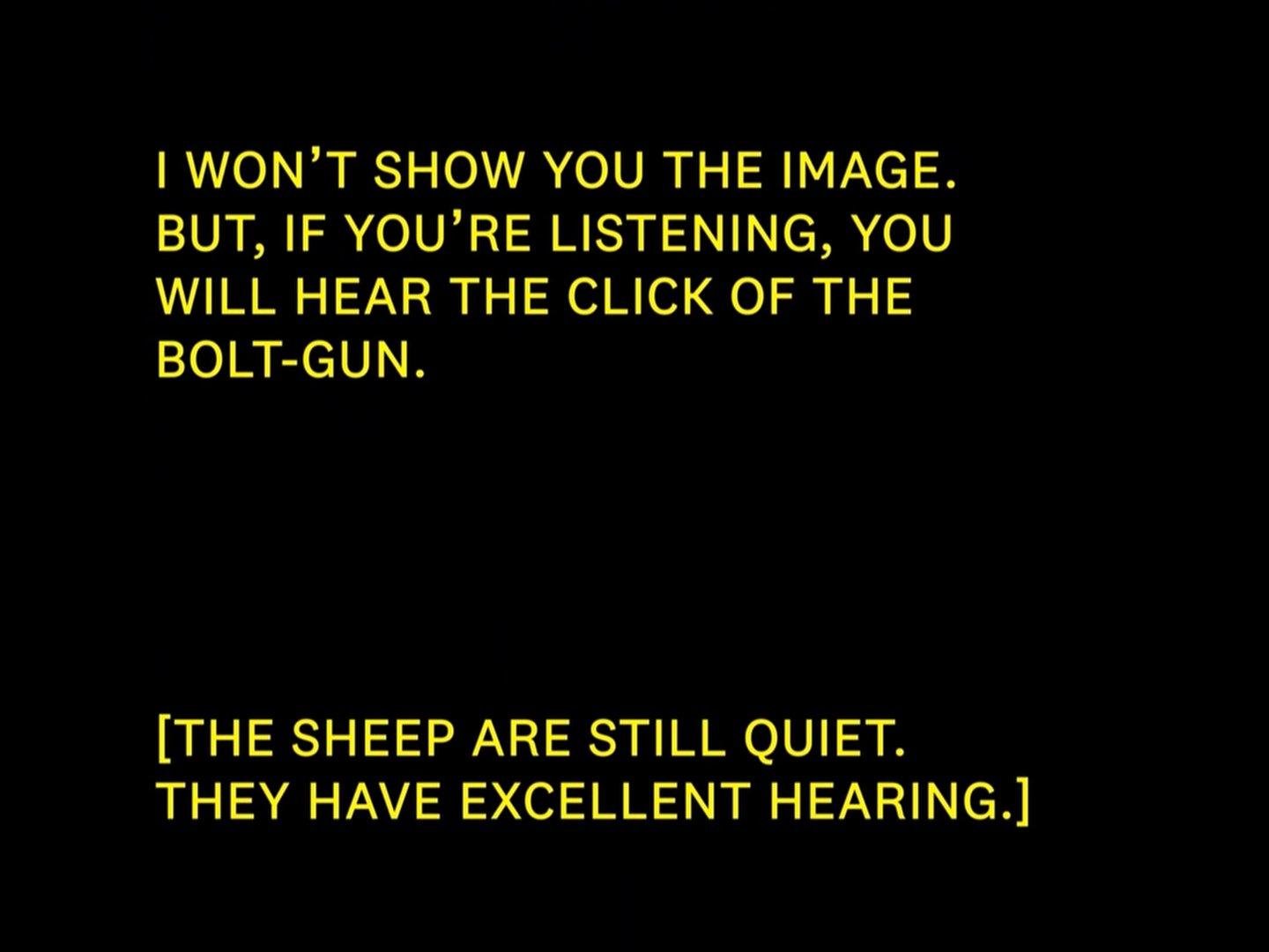 There are two sections of text written in yellow and all capitals. At top it reads; I WON'T SHOW YOU THE IMAGE. BUT, IF YOU'RE LISTENING, YOU WILL HEAR THE CLICK OF THE BOLT-GUN. At bottom, the text reads; [THE SHEEP ARE STILL QUIET. THEY HAVE EXCELLENT HEARING.]