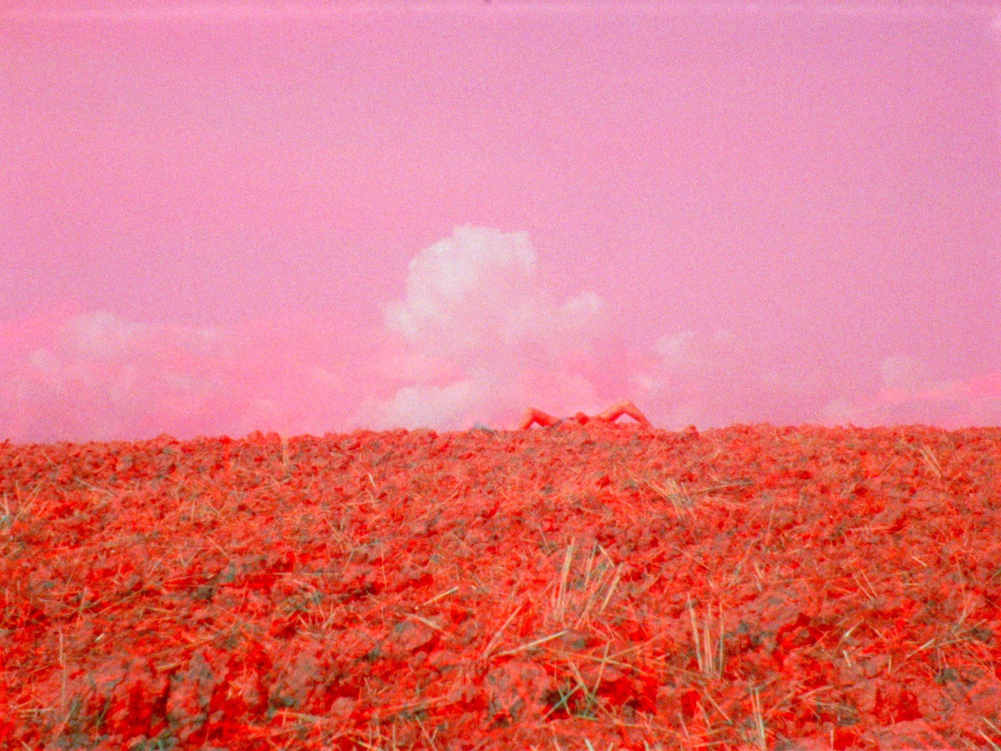 A shot of a hilltop awash in saturated red and pink. At the top appears to be the limbs of a human.