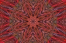 A psychedelic image of recurring patterns made from red and orange.