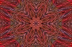 A psychedelic image of recurring patterns made from red and orange.