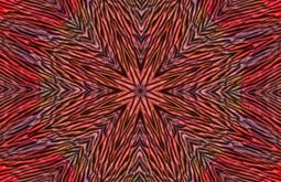 A psychedelic image of recurring patterns made from red and orange.