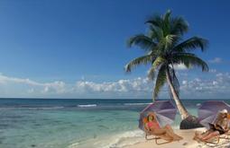 On a sunny day beneath a palm tree 2 people sunbathing are superimposed onto a beach.