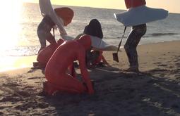 A group of people wearing inflatable plastic outfits perform on a beach at sunset.