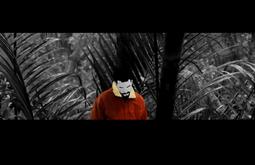 An animated figure wearing a red jacket is superimposed over a black and white scene of ferns.