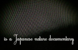 Red, Green and Blue dots resembling pixels fill the screen. At the bottom reads the text, in a Japanese nature documentary.