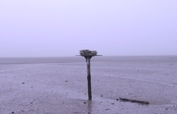 A bird house stands atop a wooden pole in a deserted wetland.