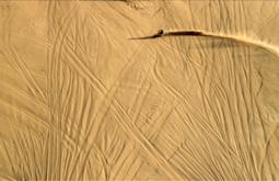 A birdseye view of quadbike driving in a desert, sand flies up behind the bike.