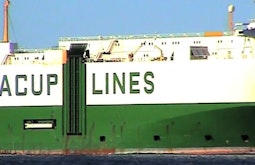 A large green and white container ship floats past.