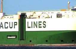 A large green and white container ship floats past.