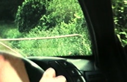 A backseat view of someones hands holding the steering wheel. Green bush is seen through the windscreen.