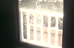 Looking through a window there is a white porch fence and trees.