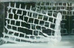 A wall-like structure made from sugar sinks and dissolves in a vitrine of water.