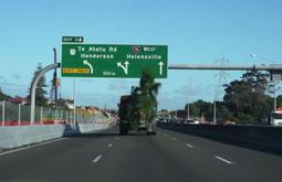 A tree hangs off the back of a truck driving along a motorway.