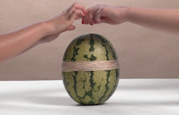 Two hands are pulling rubber bands over a watermelon that sits centred on a white table.