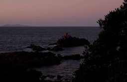 A coastal scene at dusk. Rocks with water lapping at them. A tree on the right obscures part of the view.