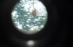 A viewfinder perspective of the ocean glistening white.