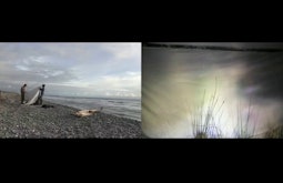 A split screen image, on the left two people set up a structure on a beach. on the right grasses sit at the waters edge.