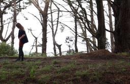 A person walks amongst pine trees.