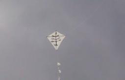 A white kite flies under a grey sky.