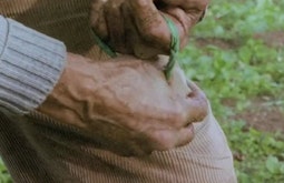 A person ties a rope around their knuckles while in a garden.