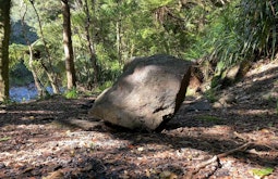 A large boulder sits on a river bank surrounded by bush. Dappled light shines onto the rock.