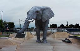 A large CGI elephant stands in a skatepark on a cloudy day