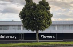 Motorway Flowers