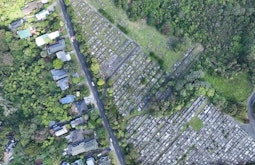 A drone shot of a suburban street and an adjacent cemetery.