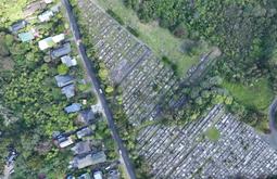 A drone shot of a suburban street and an adjacent cemetery.