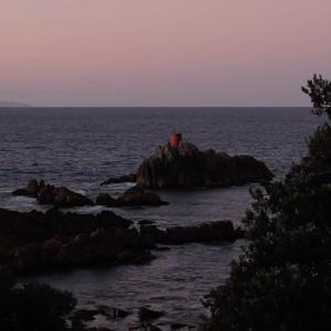 Jagged rocks stick out of the ocean underneath a pinky blue sunset or sunrise. On the rocks is a bright red cylinder object.