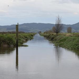 A wetland cutting directly through a green field.