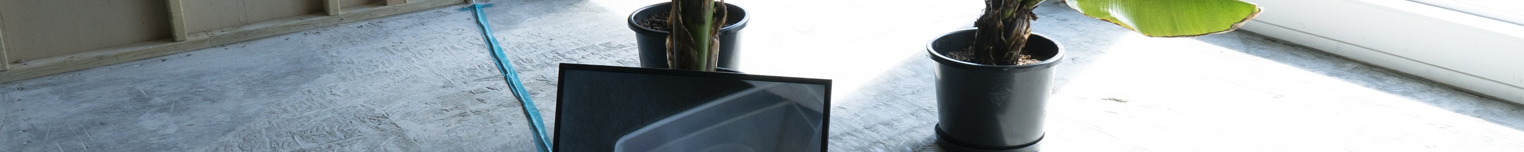 A TV screen on a concrete floor leans up against a large plant within a brightly lit room. The TV is playing a video work made by Anna Brimmer as part of Home Movies project by CIRCUIT.