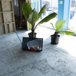 A TV screen on a concrete floor leans up against a large plant within a brightly lit room. The TV is playing a video work made by Anna Brimmer as part of Home Movies project by CIRCUIT.