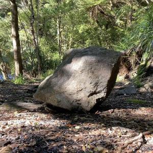 A large rock sits on a forest floor surrounded by bush. A creek can be seen in the top left-hand side of the frame.