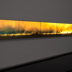 A large peat fire spread across six lcd monitors mounted in a gallery