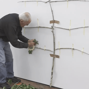 Jim Allen tapes a disjointed tree to gallery walls, taping the leaves onto the branches as part of a performance