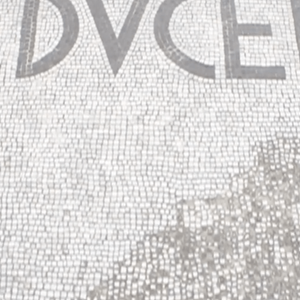 A mosaicked floor with partially obscured text reading "CEDVCEDV"