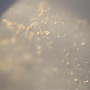 An abstract image of light yellow dust particles or microbes on a light grey hue