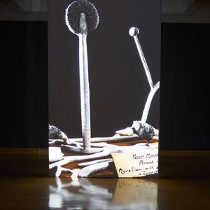 Miranda Bellamy and Amanda Fauteux with Colleen Coco Collins, Radicant (2024). Installation view, Hocken Gallery, Ōtepoti Dunedin, 2025