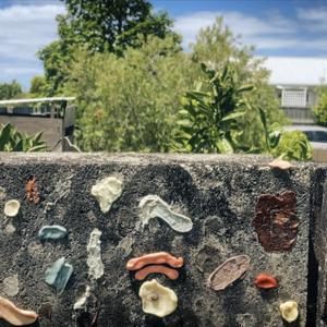 In the lower half of the image, colourful bits of chewing gum are affixed to the concrete of a suburban fence. In the upper half of the image we see the neighbouring suburban property.