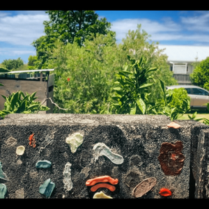 Colourful bits of chewing gum are affixed to the concrete of a suburban fence