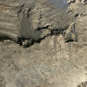 An image of shiny black coal in the side of a mountain.