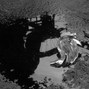 A piece of glass sits in dark puddle on tar-sealed concrete