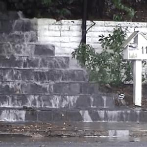 Water cascades down concrete steps as if there is a flood or leak, a mailbox with the number 11 on it stands up straight near the waterfall steps