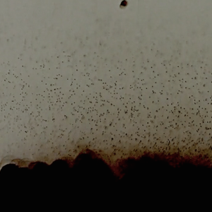 A dark cloud releases micro fragments into water