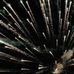 Fireworks exploding into the night sky