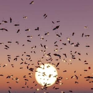 An animated swarm of insects in front of a sunset