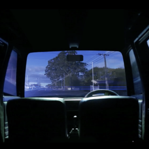 A view from inside a car looking outwards through the windscreen to see a tree and power-pole