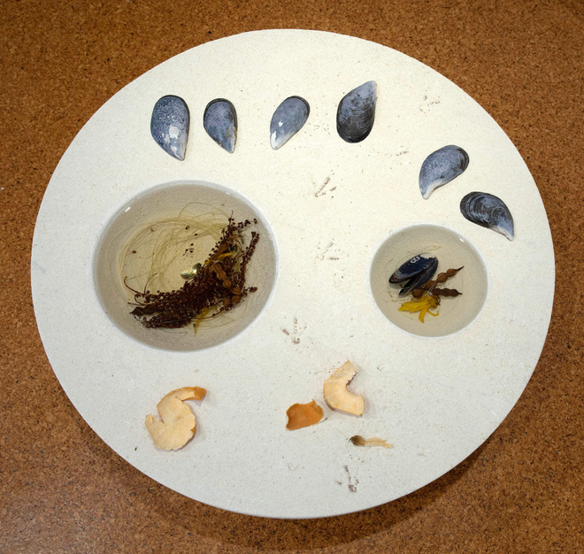 Bird's eye view of a flat stone sculpture with two circular impressions holding liquid and various remnants of flora and fauna including mussel shells, mandarin peel and kowhai flowers